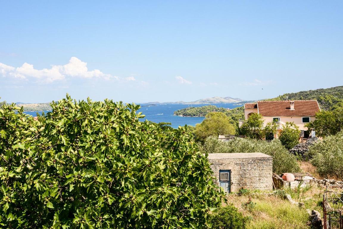 Apartment Lordanic Zaglav, Dugi Otok Exterior photo